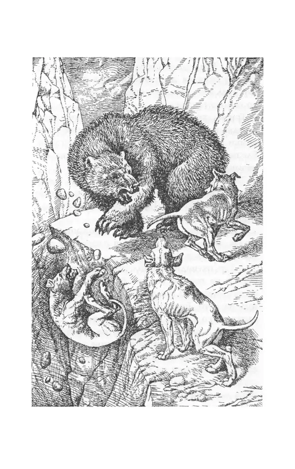 КулЛиб. Джеймс Оливер Кервуд - Приключения полярного медведя. Страница № 155