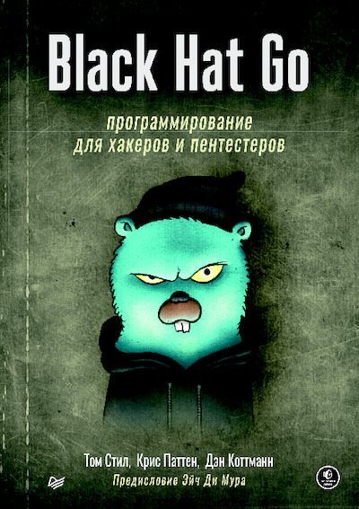 Black Hat Go. Программирование для хакеров и пентестеров (pdf)