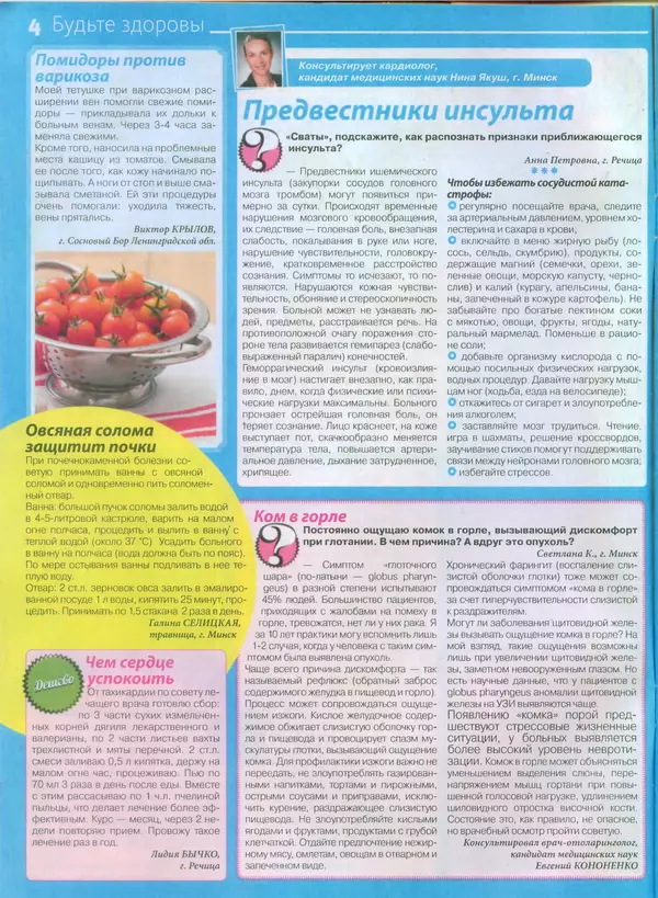 КулЛиб.   журнал Сваты - Сваты 2014 №13(31). Страница № 4