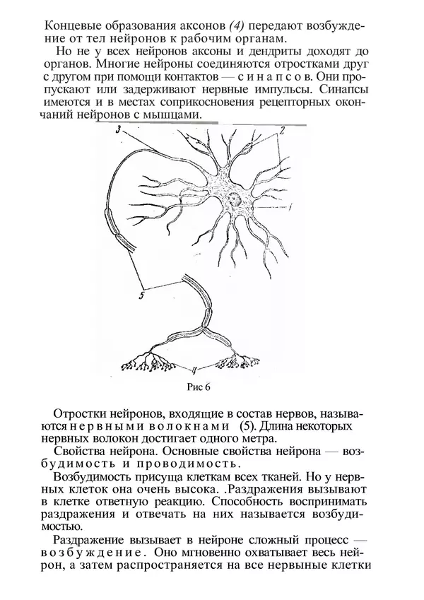 КулЛиб. М. С. Миловзорова - Анатомия и физиология человека. Страница № 21