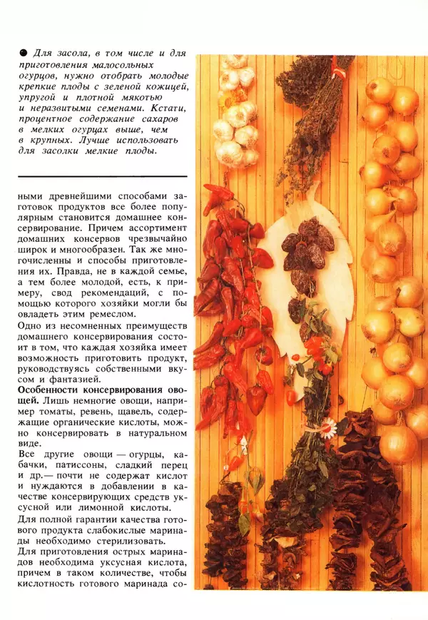 Лидия Ляховская - Молодой семье о кулинарии - Страница № 19 Лидия Ляховская - Молодой семье о кулинарии - Страница № 19