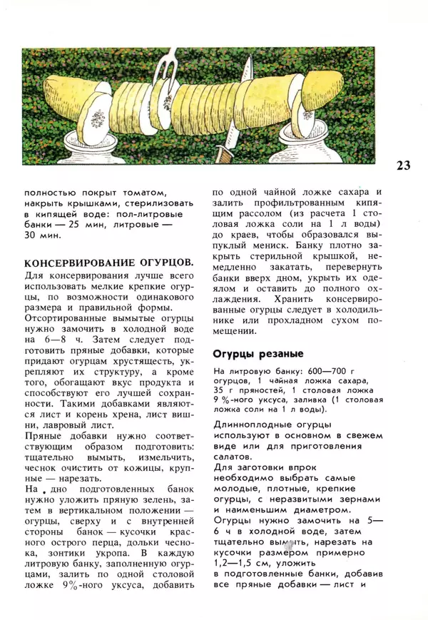 Лидия Ляховская - Молодой семье о кулинарии - Страница № 23 Лидия Ляховская - Молодой семье о кулинарии - Страница № 23