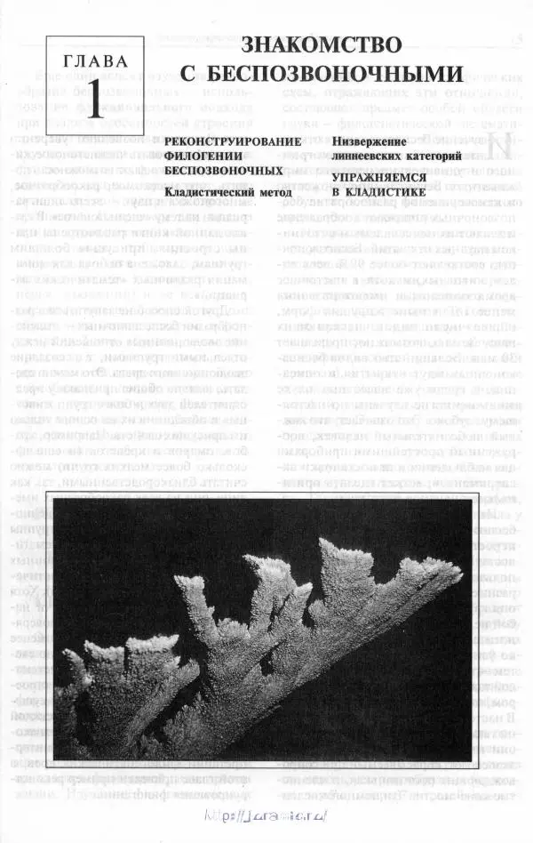 Эдвард Руперт - Зоология беспозвоночных. В 4-х томах. Том 1. Проститы и низшие многоклеточные - Страница № 14