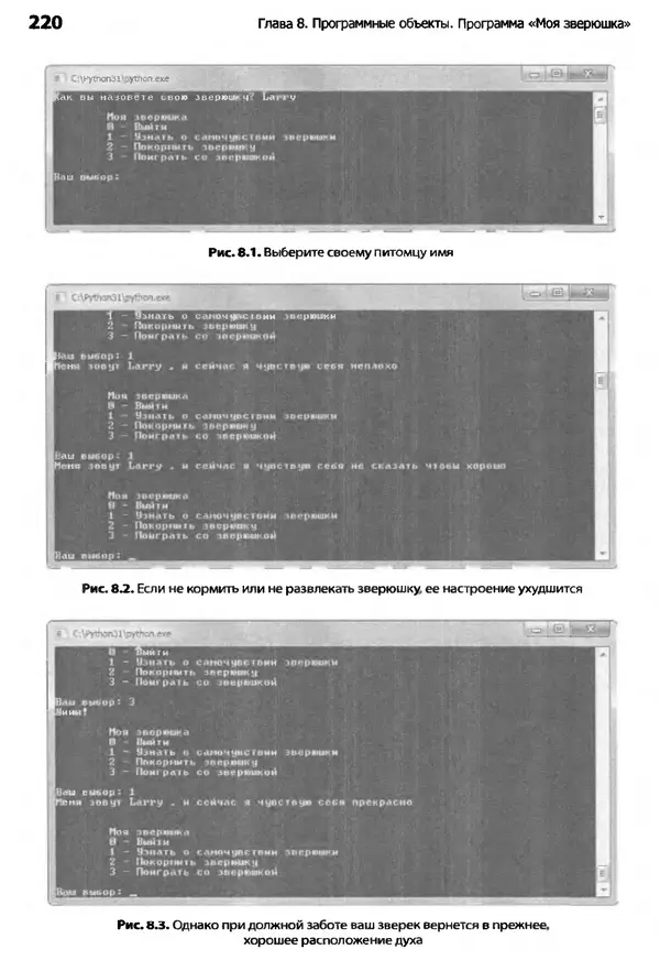 Майкл Доусон - Программируем на Python - Страница № 220