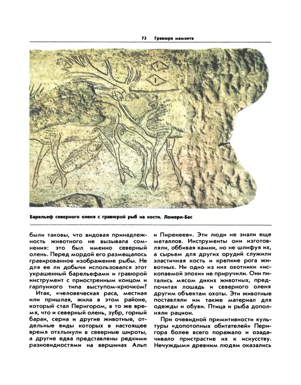 Виталий Ларичев - Прозрение: Рассказы археолога о первобытном искусстве и религиозных верованиях - Страница № 72
