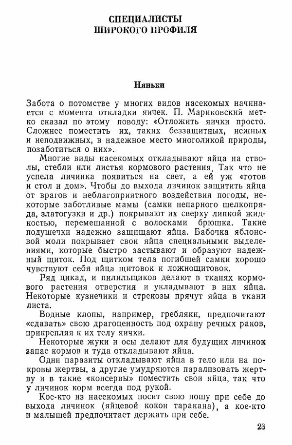 Александр Злотин - Занимательная энтомология - Страница № 24