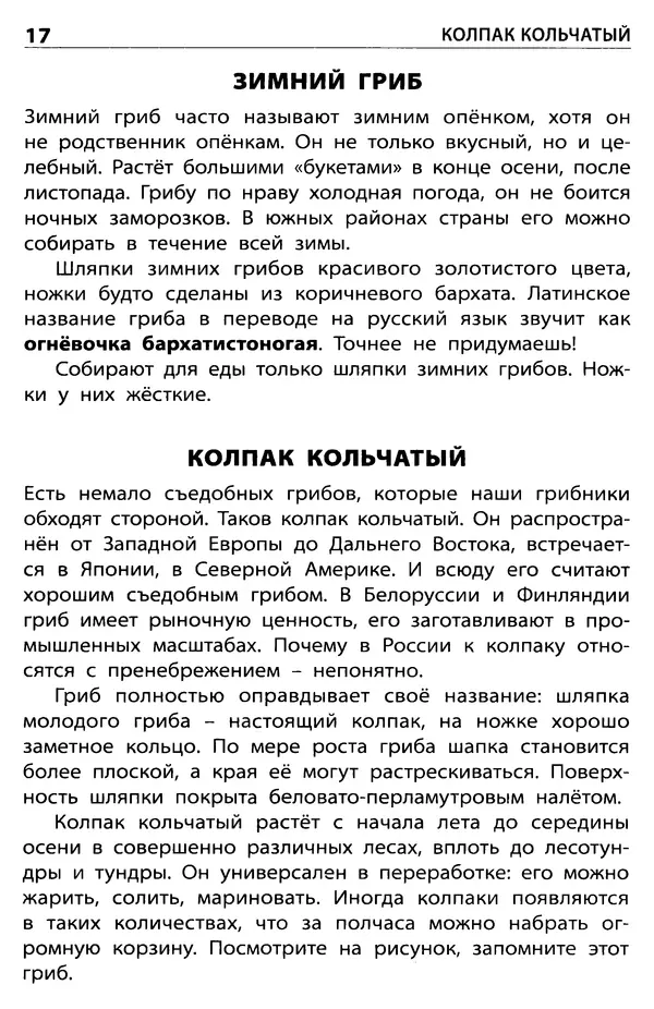 Мария Сергеева - Грибы съедобные и несъедобные  - Страница № 19