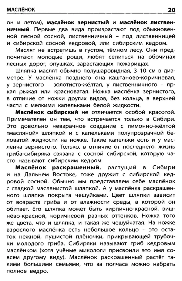 Мария Сергеева - Грибы съедобные и несъедобные  - Страница № 22
