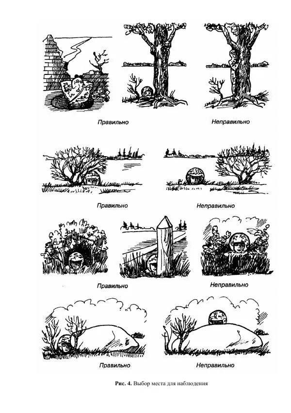 Министерство Обороны Российской Федерации - Учебник сержанта мотострелковых войск - Страница № 67