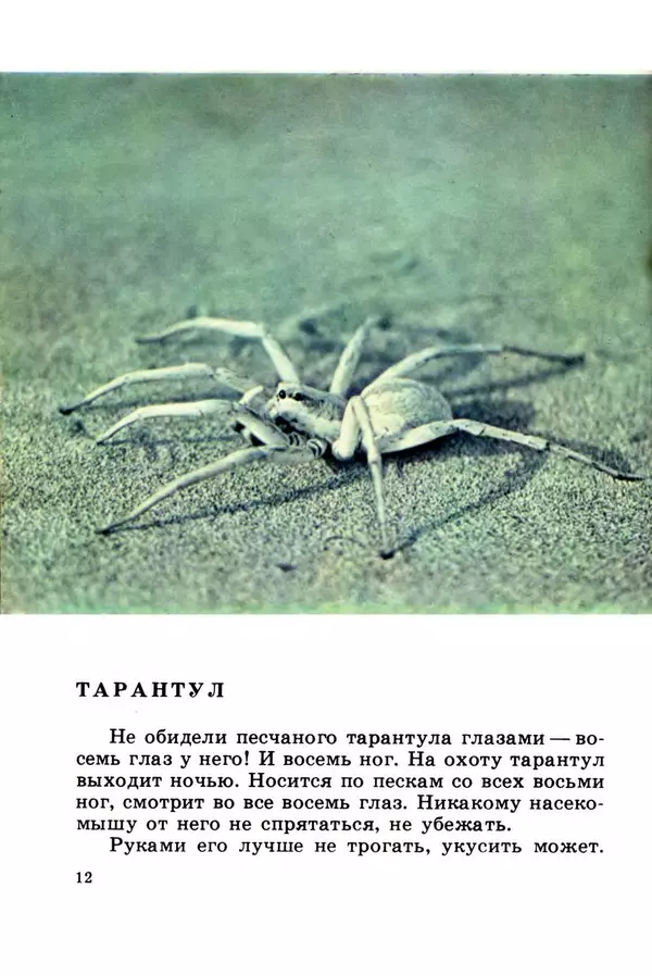 Николай Сладков - Жизнь на песке. Фотокнижка - Страница № 14