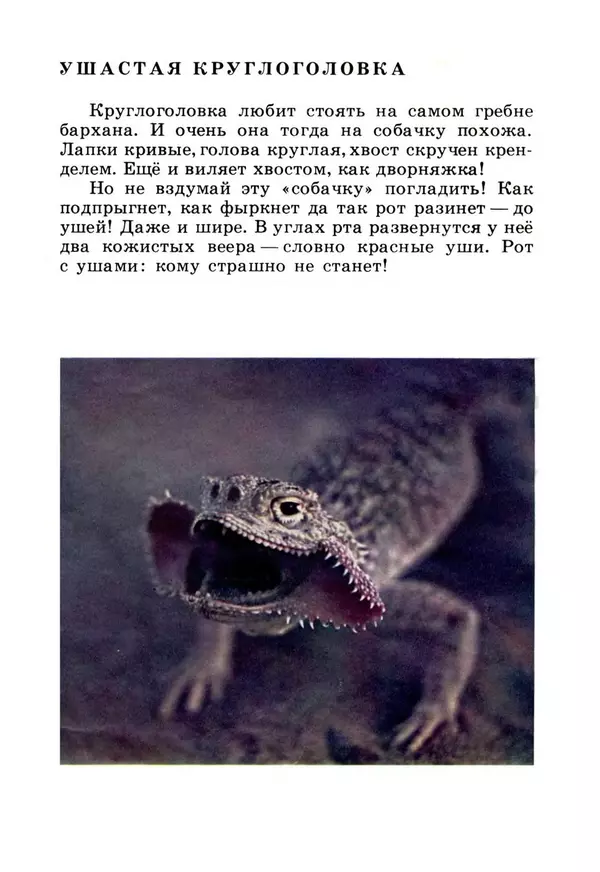 Николай Сладков - Жизнь на песке. Фотокнижка - Страница № 15