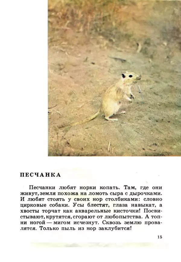 Николай Сладков - Жизнь на песке. Фотокнижка - Страница № 17