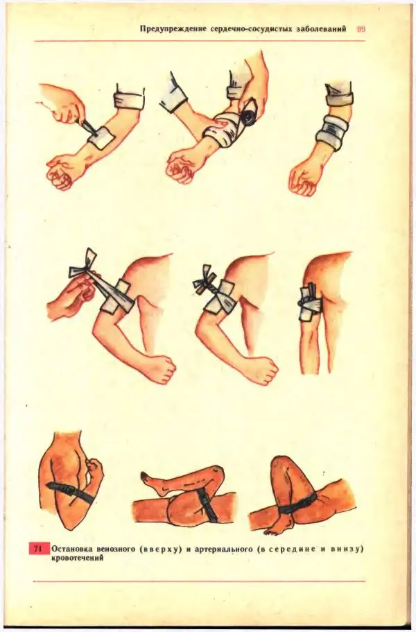 Анна Цузмер - Человек: анатомия, физиология и гигиена. Учебник для 8 класса средней школы - Страница № 93