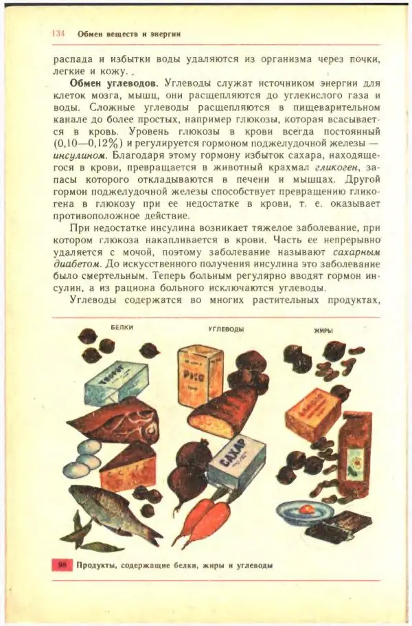 Анна Цузмер - Человек: анатомия, физиология и гигиена. Учебник для 8 класса средней школы - Страница № 128