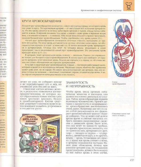  Энциклопедия для детей Аванта+ - Энциклопедия для детей. Том 18, часть 1. Человек - Страница № 158