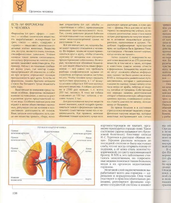  Энциклопедия для детей Аванта+ - Энциклопедия для детей. Том 18, часть 1. Человек - Страница № 199