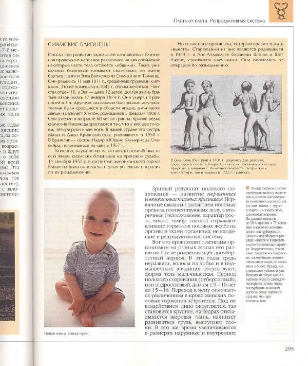  Энциклопедия для детей Аванта+ - Энциклопедия для детей. Том 18, часть 1. Человек - Страница № 296