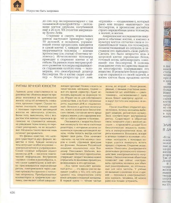  Энциклопедия для детей Аванта+ - Энциклопедия для детей. Том 18, часть 1. Человек - Страница № 427