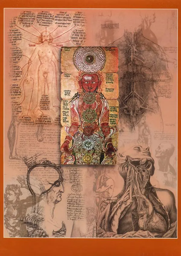  Энциклопедия для детей Аванта+ - Энциклопедия для детей. Том 18, часть 1. Человек - Страница № 464