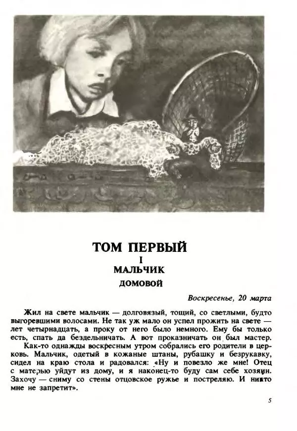 Сельма Лагерлеф - Удивительное путешествие Нильса Хольгерсона с дикими гусями по Швеции - Страница № 6