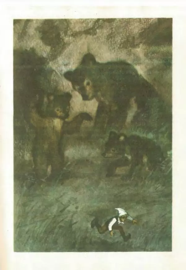 Сельма Лагерлеф - Удивительное путешествие Нильса Хольгерсона с дикими гусями по Швеции - Страница № 236