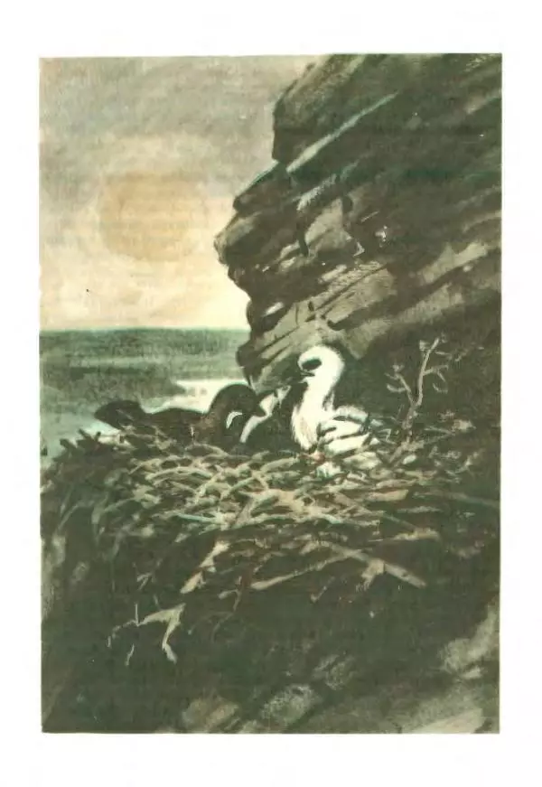 Сельма Лагерлеф - Удивительное путешествие Нильса Хольгерсона с дикими гусями по Швеции - Страница № 326