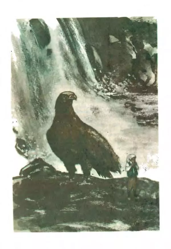 Сельма Лагерлеф - Удивительное путешествие Нильса Хольгерсона с дикими гусями по Швеции - Страница № 334