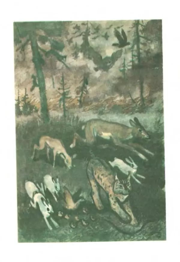 Сельма Лагерлеф - Удивительное путешествие Нильса Хольгерсона с дикими гусями по Швеции - Страница № 362