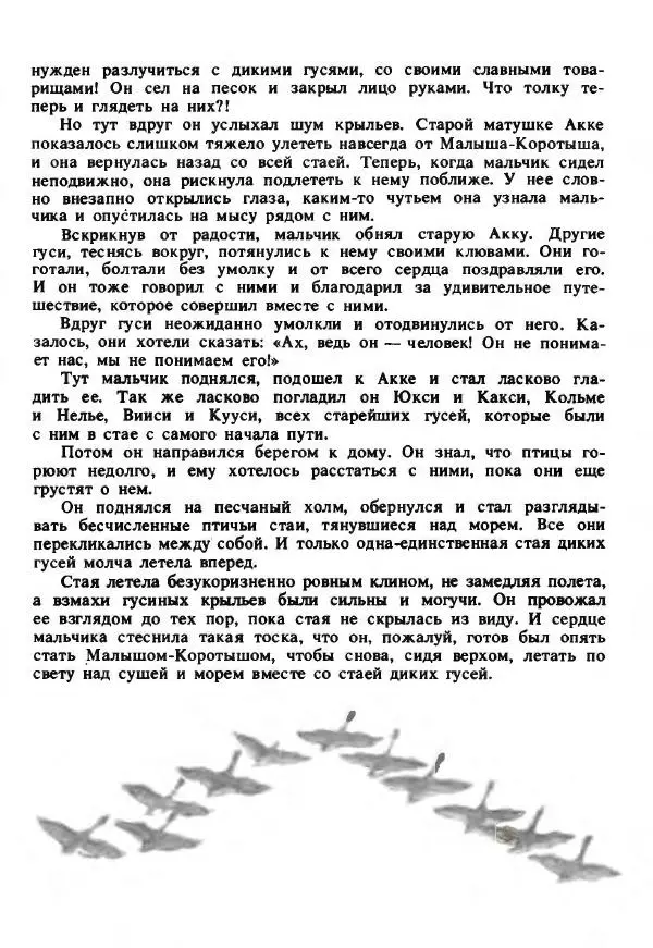 Сельма Лагерлеф - Удивительное путешествие Нильса Хольгерсона с дикими гусями по Швеции - Страница № 473
