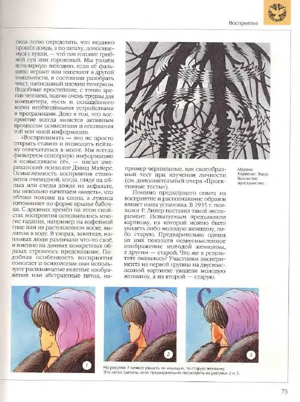  Энциклопедия для детей Аванта+ - Энциклопедия для детей. Том 18, часть 2. Человек - Страница № 75