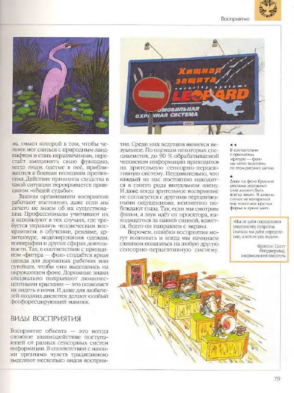  Энциклопедия для детей Аванта+ - Энциклопедия для детей. Том 18, часть 2. Человек - Страница № 79