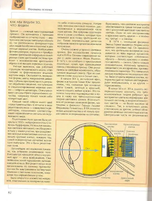  Энциклопедия для детей Аванта+ - Энциклопедия для детей. Том 18, часть 2. Человек - Страница № 82