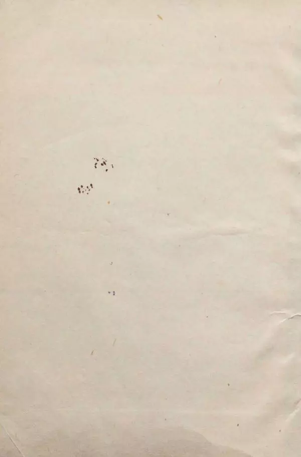 Фёдор Тютчев - Беглец : Роман из пограничной жизни - Страница № 4