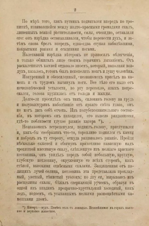 Фёдор Тютчев - Беглец : Роман из пограничной жизни - Страница № 10