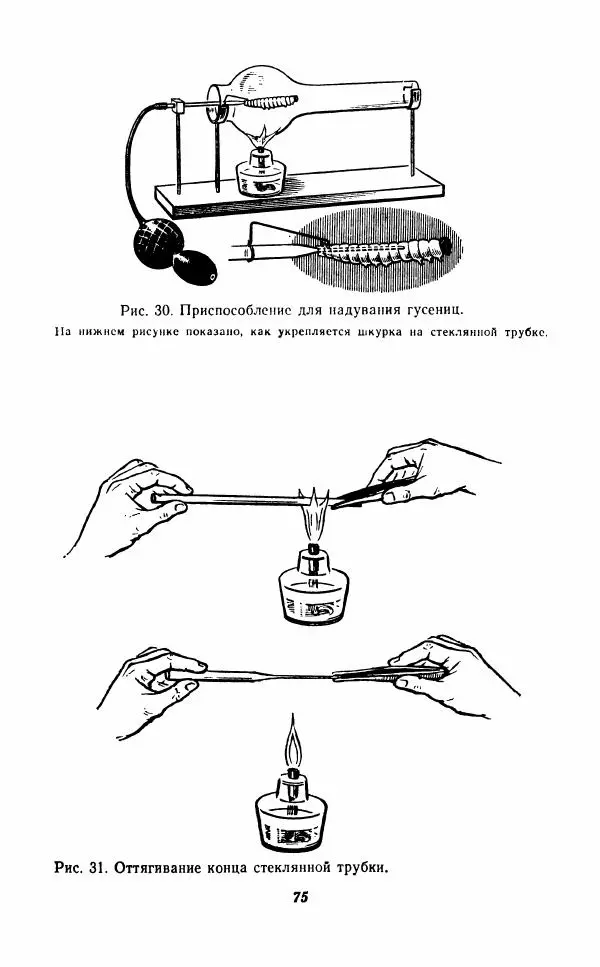 Михаил Козлов - Юным зоологам. Наземные и пресноводные беспозвоночные - Страница № 76