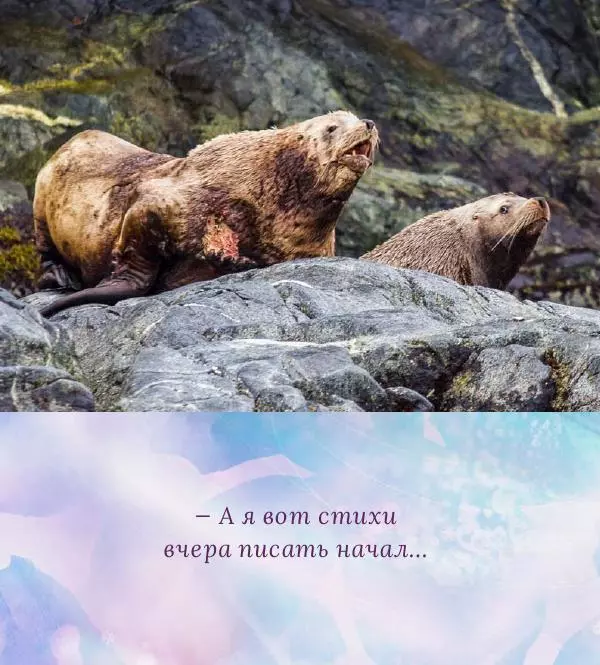 Игорь Бондарь - Семейные диалоги животных - Страница № 19