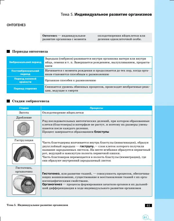 Татьяна Красильникова - Биология. 10-11 классы. Наглядный справочник - Страница № 61 Татьяна Красильникова - Биология. 10-11 классы. Наглядный справочник - Страница № 61