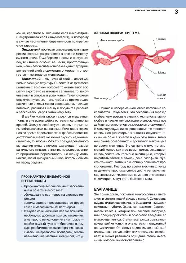 Елена Первушина - Здоровье женщины. Репродуктивная система - Страница № 4