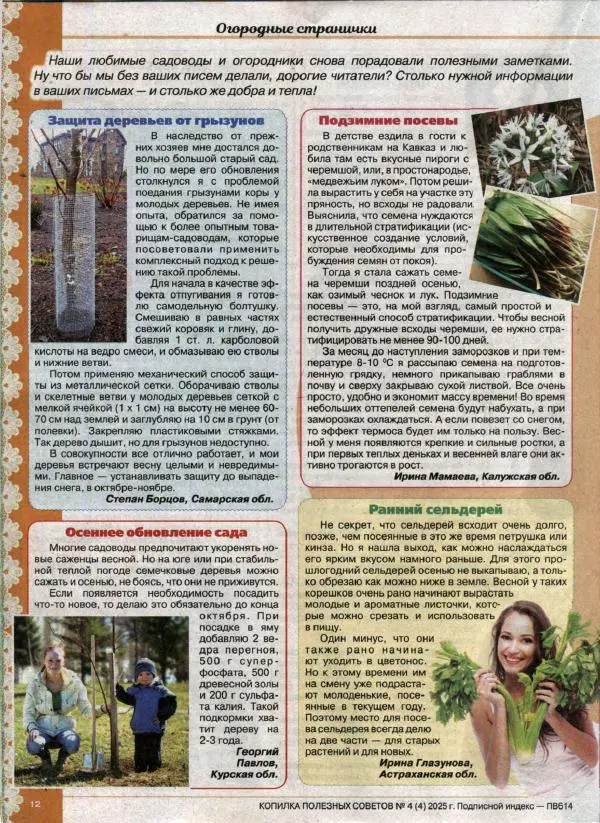  журнал «Копилка полезных советов» - Копилка полезных советов 2025 №4(04) - Страница № 12