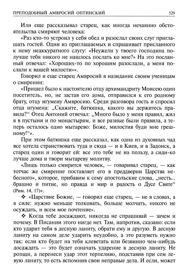   - Великие русские старцы. Жизнеописания, чудеса, духовные наставления - Страница № 530