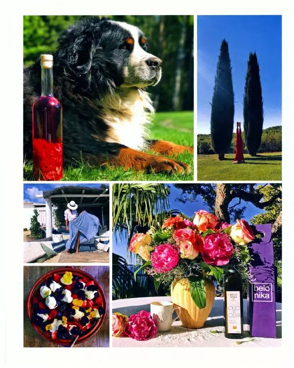 Вероника Белоцерковская - В рот круглый год - Страница № 46