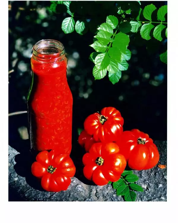 Вероника Белоцерковская - В рот круглый год - Страница № 49