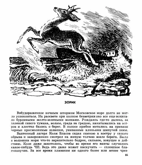Виктор Балашов - Живи, ирбис! - Страница № 88