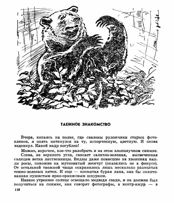 Виктор Балашов - Живи, ирбис! - Страница № 113