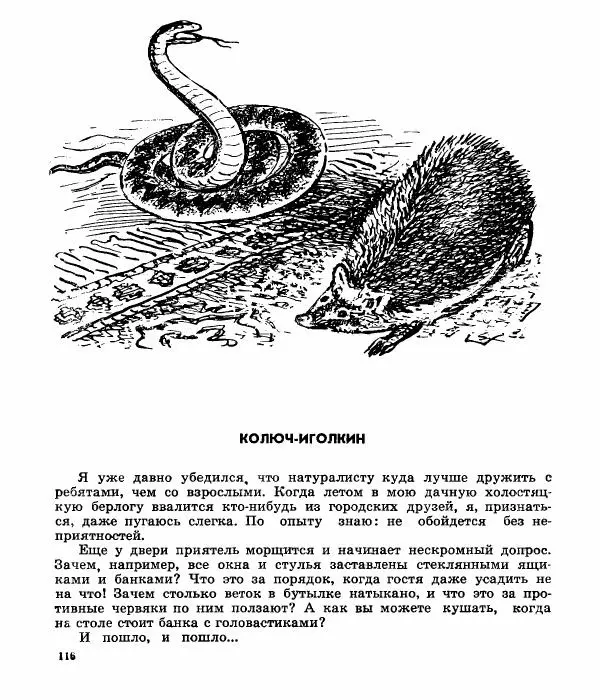 Виктор Балашов - Живи, ирбис! - Страница № 119