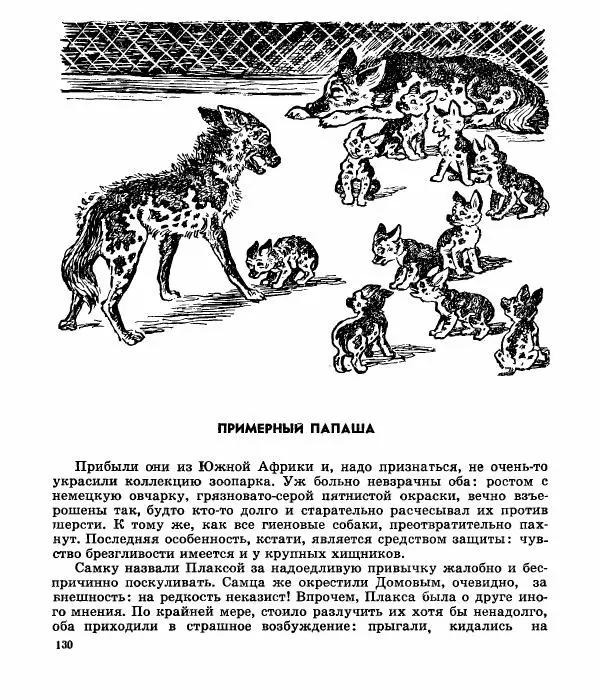 Виктор Балашов - Живи, ирбис! - Страница № 133
