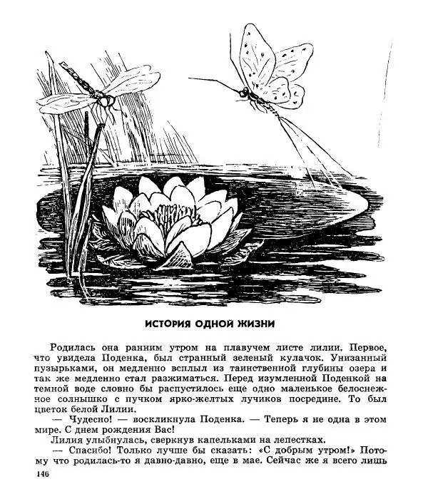 Виктор Балашов - Живи, ирбис! - Страница № 149