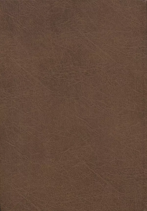 Иммануил Валлерстайн - Istoricheskiy_kapitalizm._Kapitalisticheskaya_tsivilizatsiya - Страница № 178