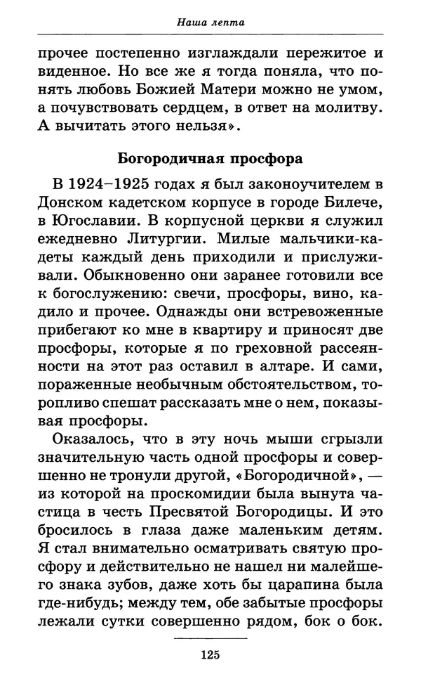 Митрополит Вениамин Федченков - Всех скорбящих Радость. Молитвы Божией Матери, учение церкви о Ней и новые чудеса Её - Страница № 126