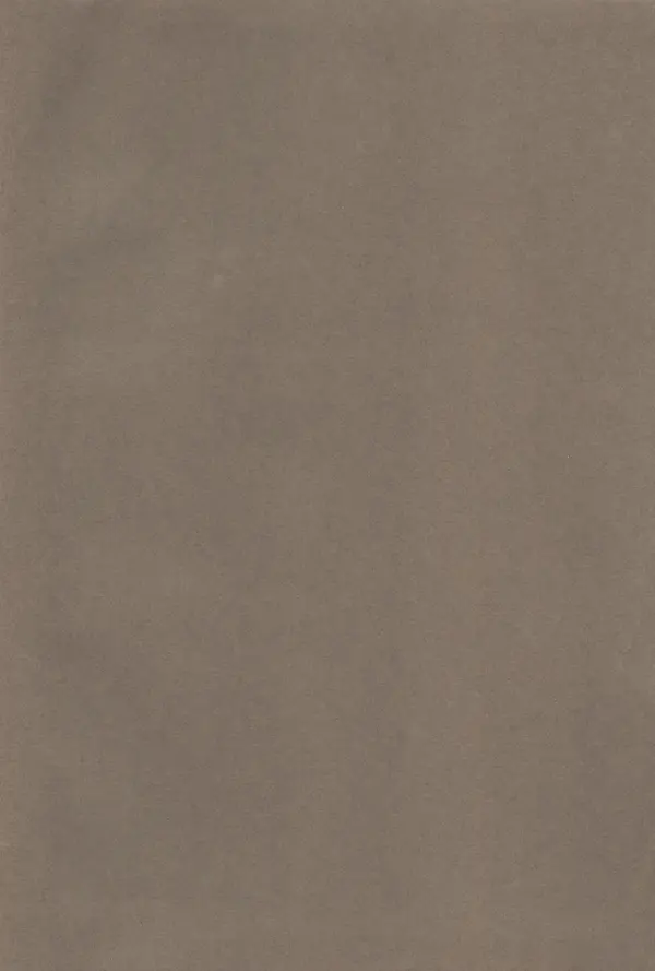 Андрей Бунин - История градостроительного искусства. Том 1. Градостроительство рабовладельческого строя и феодализма - Страница № 507